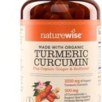 TURMERIC CURCUMIN PULS ORGANIC GINGER BIOPERINE