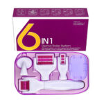 6IN1 DERMA ROLLER SYSTEM
