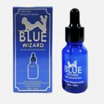 BLUE WIZARD